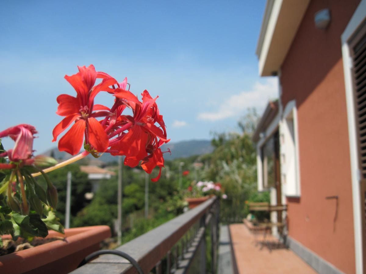 산타 베네리나 Anthea Dell' Etna B&B 외부 사진